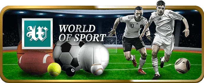 Live Chat hỗ trợ trực tuyến 24/7 của CM8886